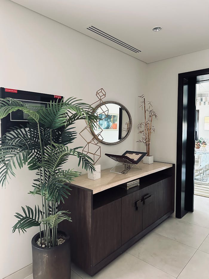 Stylish interior featuring modern decor, geometric sculptures, and lush plants.