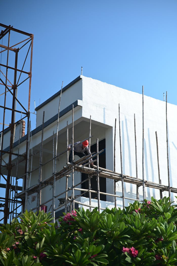 Pexels Photo 34254278